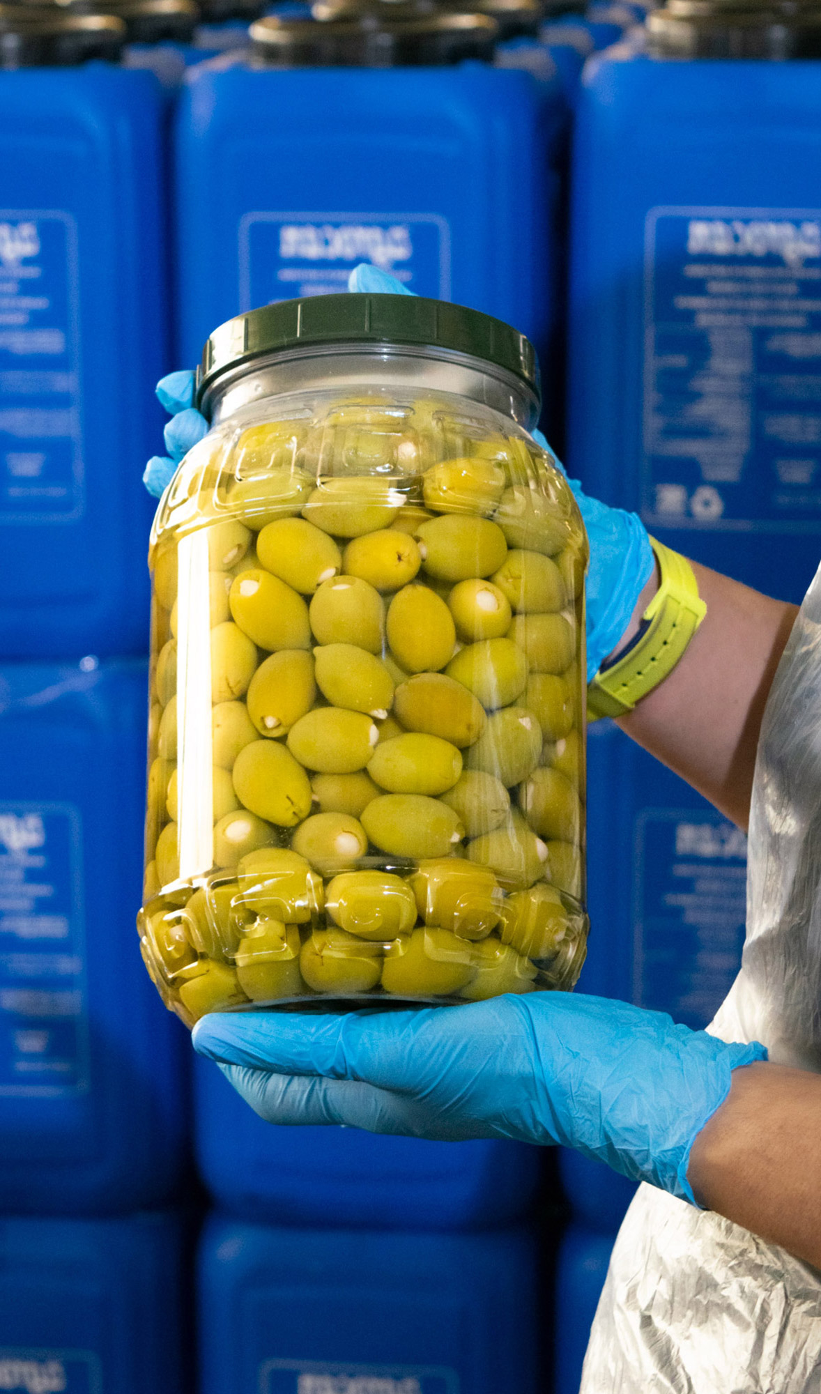 Worker holding PET Jar stuffed with green olives